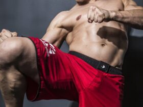 KICKBOXER Leading Man: Alain Moussi