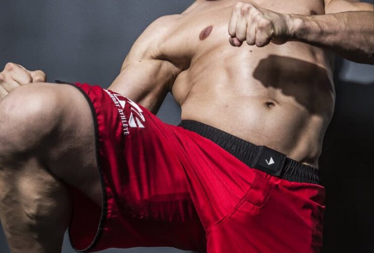 KICKBOXER Leading Man: Alain Moussi