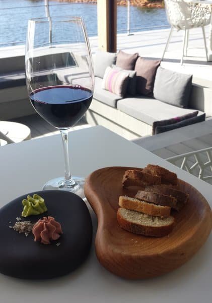 Travel To Cavalli Wine & Stud Farm
