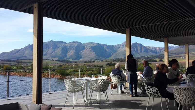 Travel To Cavalli Wine & Stud Farm